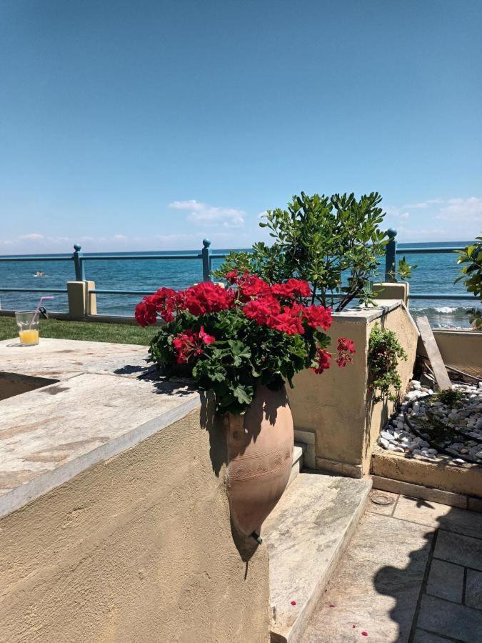 Aegean Blue Villa Платамонас Екстериор снимка