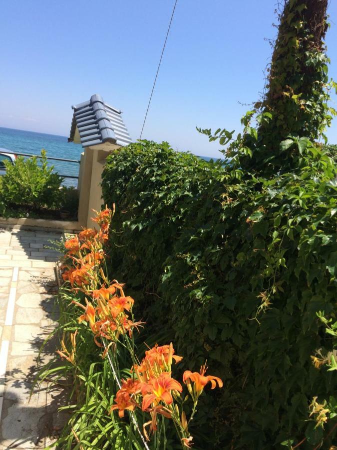 Aegean Blue Villa Платамонас Екстериор снимка